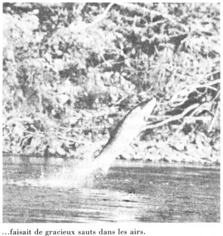 les eaux de la Grande Rivière